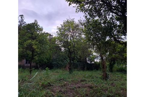 Villa a Sangalhos, Aveiro, Sangalhos - € 159.500 | Ref: KWPT-032953 - foto 18