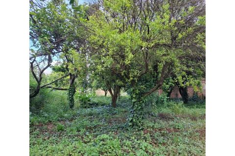 Villa a Sangalhos, Aveiro, Sangalhos - € 159.500 | Ref: KWPT-032953 - foto 19