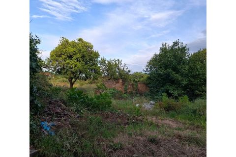 Villa a Sangalhos, Aveiro, Sangalhos - € 159.500 | Ref: KWPT-032953 - foto 22