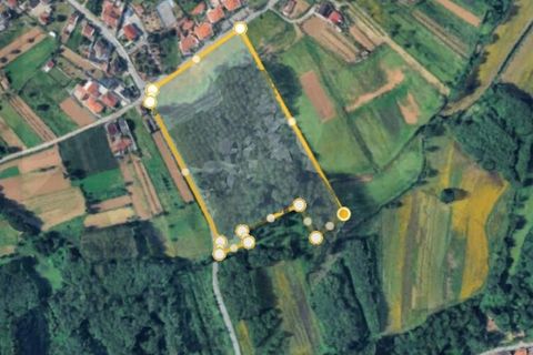 Helårsgrund i Agueda, Aveiro, Agueda - € 375.000 | Ref: KWPT-032711 - foto 4