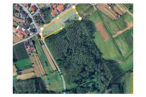 Helårsgrund i Agueda, Aveiro, Agueda - € 375.000 | Ref: KWPT-032711 - foto 2