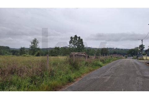 Helårsgrund i Agueda, Aveiro, Agueda - € 375.000 | Ref: KWPT-032711 - foto 11