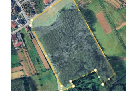Grond in Agueda, Aveiro, Agueda - € 375.000 | Ref: KWPT-032711 - foto 1