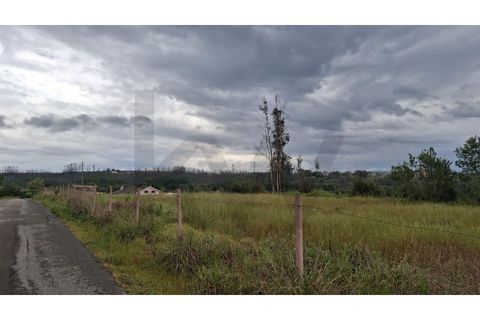 Grond in Agueda, Aveiro, Agueda - € 375.000 | Ref: KWPT-032711 - foto 6