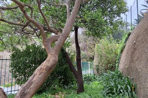 Villa a Messina, Messina, Messina - € 56.000 | Ref: VSP342 - foto 3