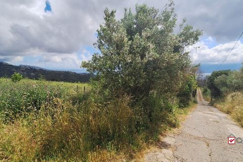 Helårsgrund i Messina, Messina, Messina - € 29.000 | Ref: VS915 - foto 2