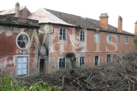 Farm i Alges, Lisbon, Alges - € 25.000.000 | Ref: W3665 - foto 11