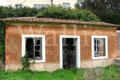 Farm i Alges, Lisbon, Alges - € 25.000.000 | Ref: W3665 - foto 32