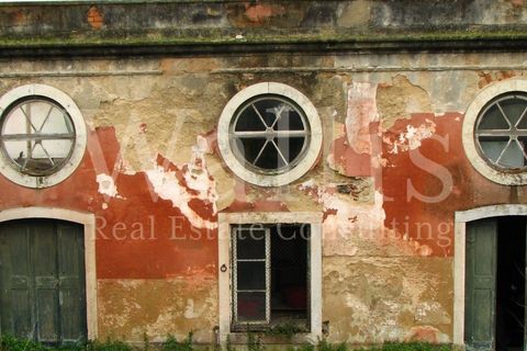 Farm i Alges, Lisbon, Alges - € 25.000.000 | Ref: W3665 - foto 33