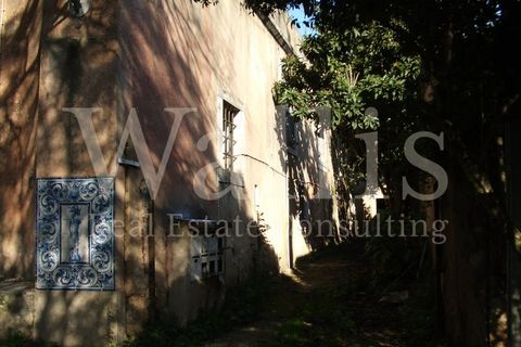 Farm i Alges, Lisbon, Alges - € 25.000.000 | Ref: W3665 - foto 39