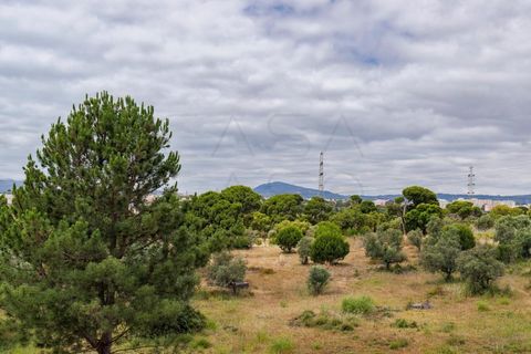 Villa i Setubal, Setubal, Setubal - € 485.000 | Ref: CC_MOR_T3_18227 - foto 19