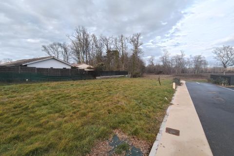 Terra a Madirac, Gironde, Madirac - € 135.000 | Ref: MB-2205-Madirac - foto 2