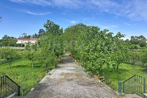 Villa i Caminha, Viana do Castelo, Caminha - € 480.000 | Ref: 2751 - foto 30