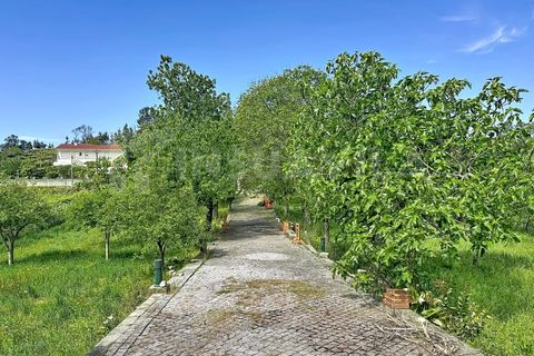 Villa i Caminha, Viana do Castelo, Caminha - € 480.000 | Ref: 2751 - foto 34