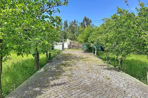 Villa i Caminha, Viana do Castelo, Caminha - € 480.000 | Ref: 2751 - foto 35