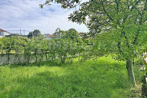 Villa i Caminha, Viana do Castelo, Caminha - € 480.000 | Ref: 2751 - foto 37
