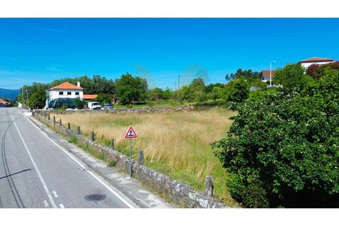Helårsgrund i Ponte de Lima, Viana do Castelo, Ponte de Lima - € 370.000 | Ref: V492 - foto 4
