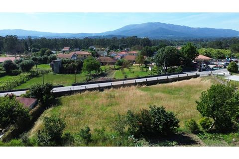 Helårsgrund i Ponte de Lima, Viana do Castelo, Ponte de Lima - € 370.000 | Ref: V492 - foto 6