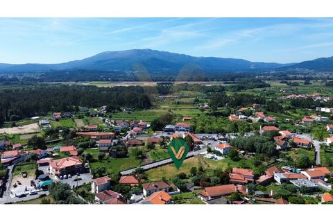 Helårsgrund i Ponte de Lima, Viana do Castelo, Ponte de Lima - € 370.000 | Ref: V492 - foto 7