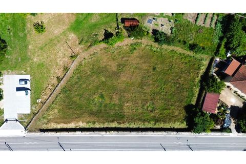 Helårsgrund i Ponte de Lima, Viana do Castelo, Ponte de Lima - € 370.000 | Ref: V492 - foto 10
