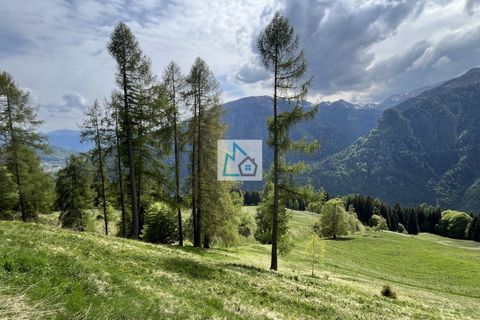 Landejendom i Valdaone, Trento, Valdaone - € 110.000 | Ref: 21 - foto 12