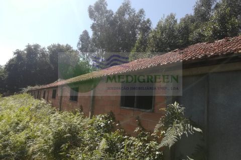 Erhvervsejendom i Sever do Vouga, Aveiro, Sever do Vouga - € 75.000 | Ref: MAG_1660 - foto 5