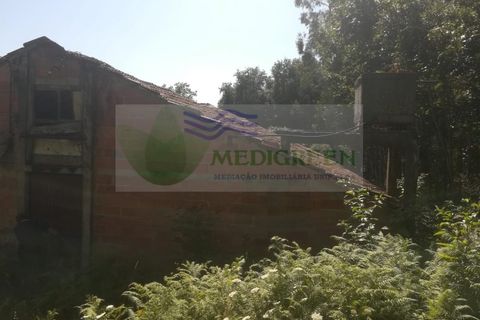 Erhvervsejendom i Sever do Vouga, Aveiro, Sever do Vouga - € 75.000 | Ref: MAG_1660 - foto 6