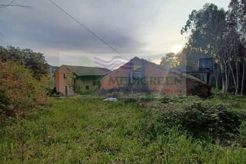 Erhvervsejendom i Sever do Vouga, Aveiro, Sever do Vouga - € 75.000 | Ref: MAG_1660 - foto 7