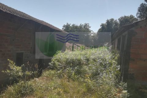 Erhvervsejendom i Sever do Vouga, Aveiro, Sever do Vouga - € 75.000 | Ref: MAG_1660 - foto 8