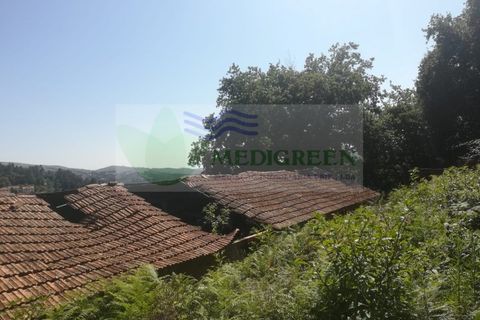 Erhvervsejendom i Sever do Vouga, Aveiro, Sever do Vouga - € 75.000 | Ref: MAG_1660 - foto 9