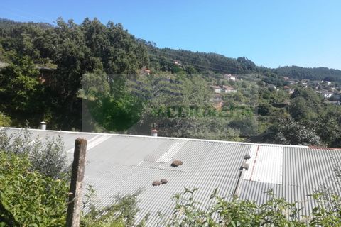 Erhvervsejendom i Sever do Vouga, Aveiro, Sever do Vouga - € 75.000 | Ref: MAG_1660 - foto 12