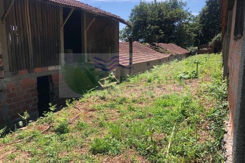 Erhvervsejendom i Sever do Vouga, Aveiro, Sever do Vouga - € 75.000 | Ref: MAG_1660 - foto 15