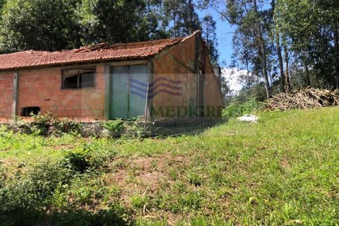 Erhvervsejendom i Sever do Vouga, Aveiro, Sever do Vouga - € 75.000 | Ref: MAG_1660 - foto 16