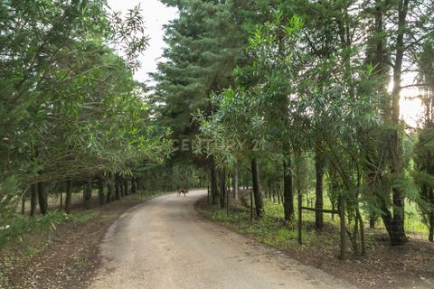 Farm hus i Estremoz, Evora, Estremoz - € 2.100.000 | Ref: C0417-00465 - foto 7