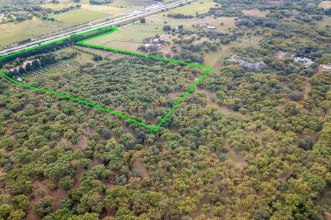 Farm hus i Estremoz, Evora, Estremoz - € 2.100.000 | Ref: C0417-00465 - foto 6