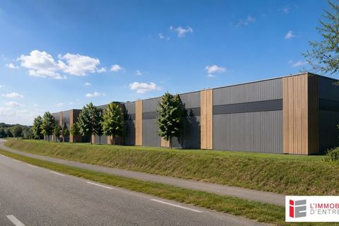 Erhvervsejendom i Rennes, Ille-et-Vilaine, Rennes - € 3.948.000 | Ref: 35_0839_BL - foto 9