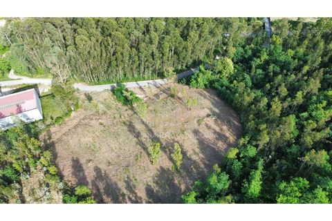 Helårsgrund i Braga, Braga, Braga - € 545.000 | Ref: TER_001_05BRG - foto 5