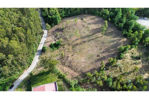 Helårsgrund i Braga, Braga, Braga - € 545.000 | Ref: TER_001_05BRG - foto 6