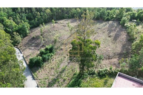 Helårsgrund i Braga, Braga, Braga - € 545.000 | Ref: TER_001_05BRG - foto 7