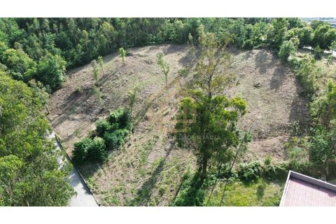 Helårsgrund i Braga, Braga, Braga - € 545.000 | Ref: TER_001_05BRG - foto 8