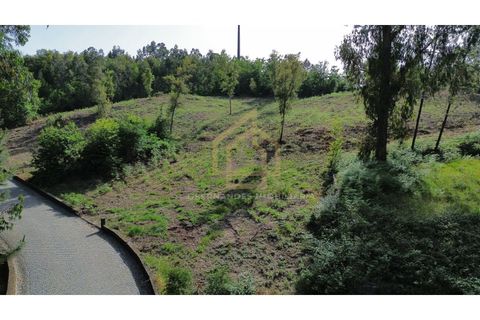 Helårsgrund i Braga, Braga, Braga - € 545.000 | Ref: TER_001_05BRG - foto 9