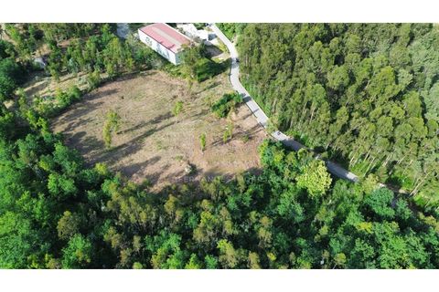 Helårsgrund i Braga, Braga, Braga - € 545.000 | Ref: TER_001_05BRG - foto 13