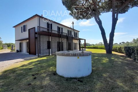 Farm i Cecina, Livorno, Cecina - € 6.500.000 | Ref: AZ414 - foto 5