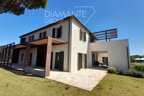 Farm i Cecina, Livorno, Cecina - € 6.500.000 | Ref: AZ414 - foto 7