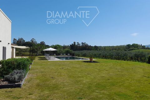 Farm i Cecina, Livorno, Cecina - € 6.500.000 | Ref: AZ414 - foto 10