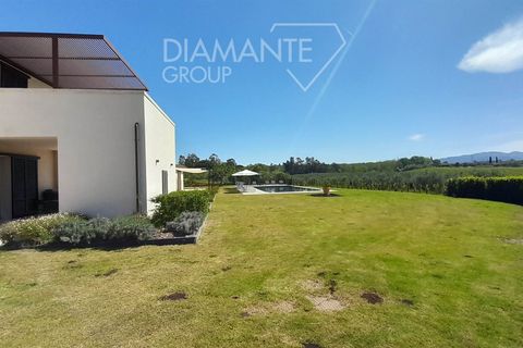 Farm i Cecina, Livorno, Cecina - € 6.500.000 | Ref: AZ414 - foto 11
