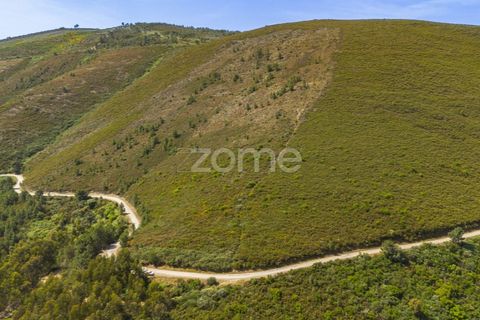 Farm i Sabrosa, Vila Real, Sabrosa - € 355.000 | Ref: ZMPT589429 - foto 7