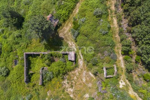 Farm i Sabrosa, Vila Real, Sabrosa - € 355.000 | Ref: ZMPT589429 - foto 10