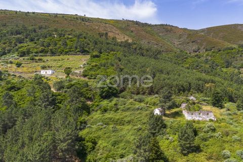 Farm i Sabrosa, Vila Real, Sabrosa - € 355.000 | Ref: ZMPT589429 - foto 12