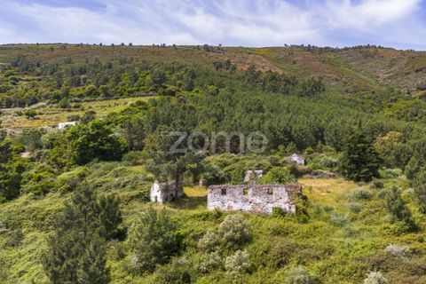 Farm i Sabrosa, Vila Real, Sabrosa - € 355.000 | Ref: ZMPT589429 - foto 13